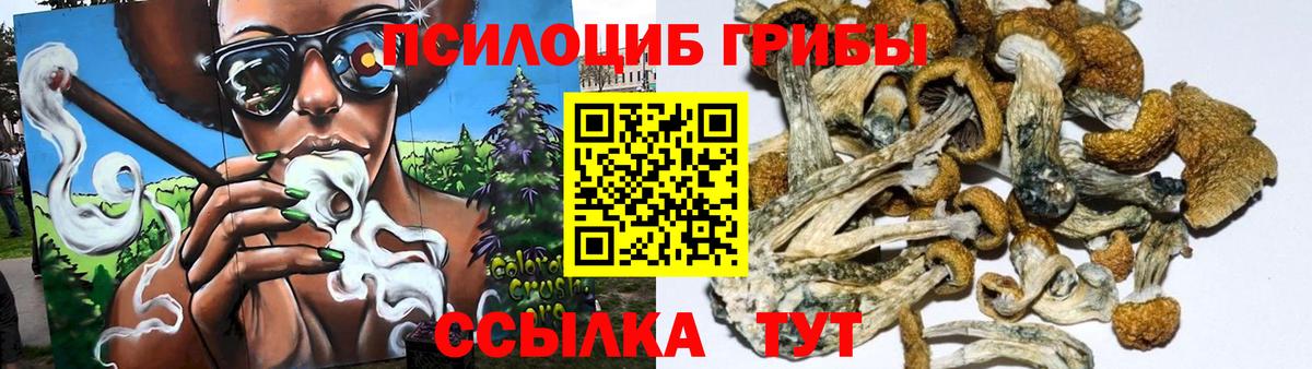 Галлюциногенные грибы ЛСД Богданович