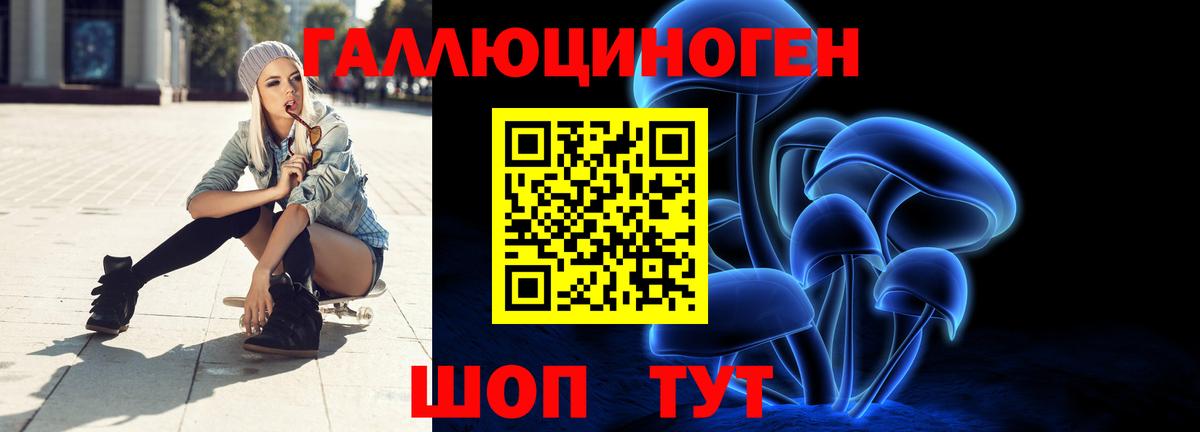 Богданович  купить  цена  Вход с VPN  Псилоцибиновые грибы мицелий 