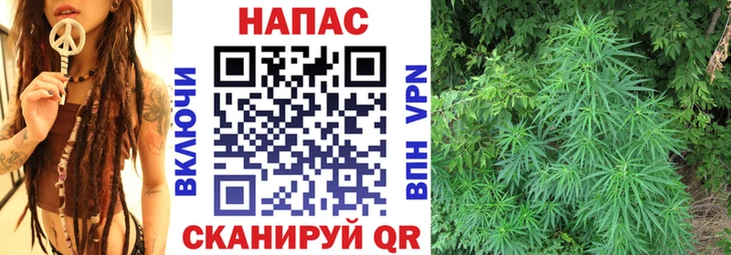 как найти наркотики  Богданович  Марихуана Bruce Banner 
